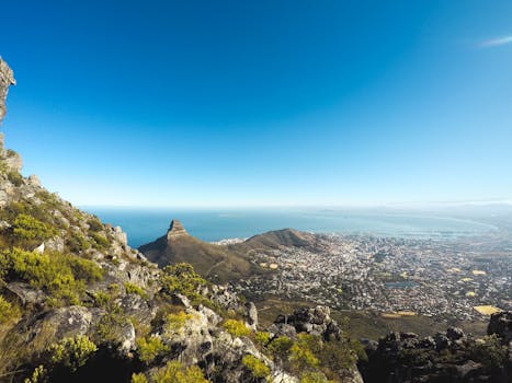 开普敦的山脉与海洋，共同展现了壮丽的自然美景
