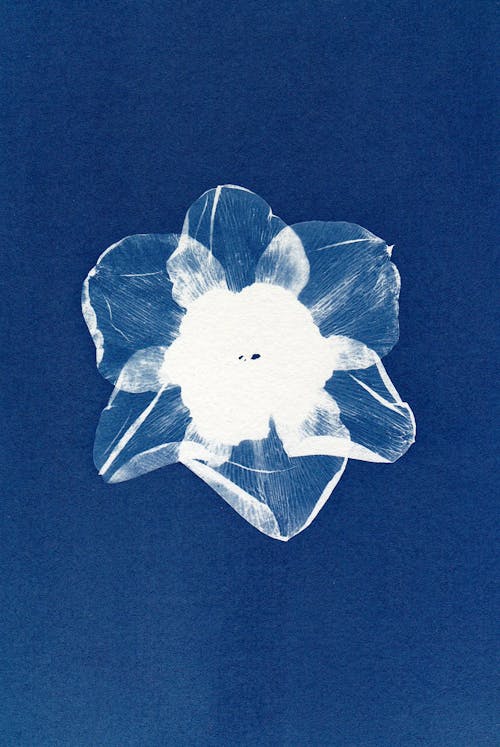 бесплатная Бесплатное стоковое фото с cyanotype, вертикальный выстрел, Искусство Стоковое фото