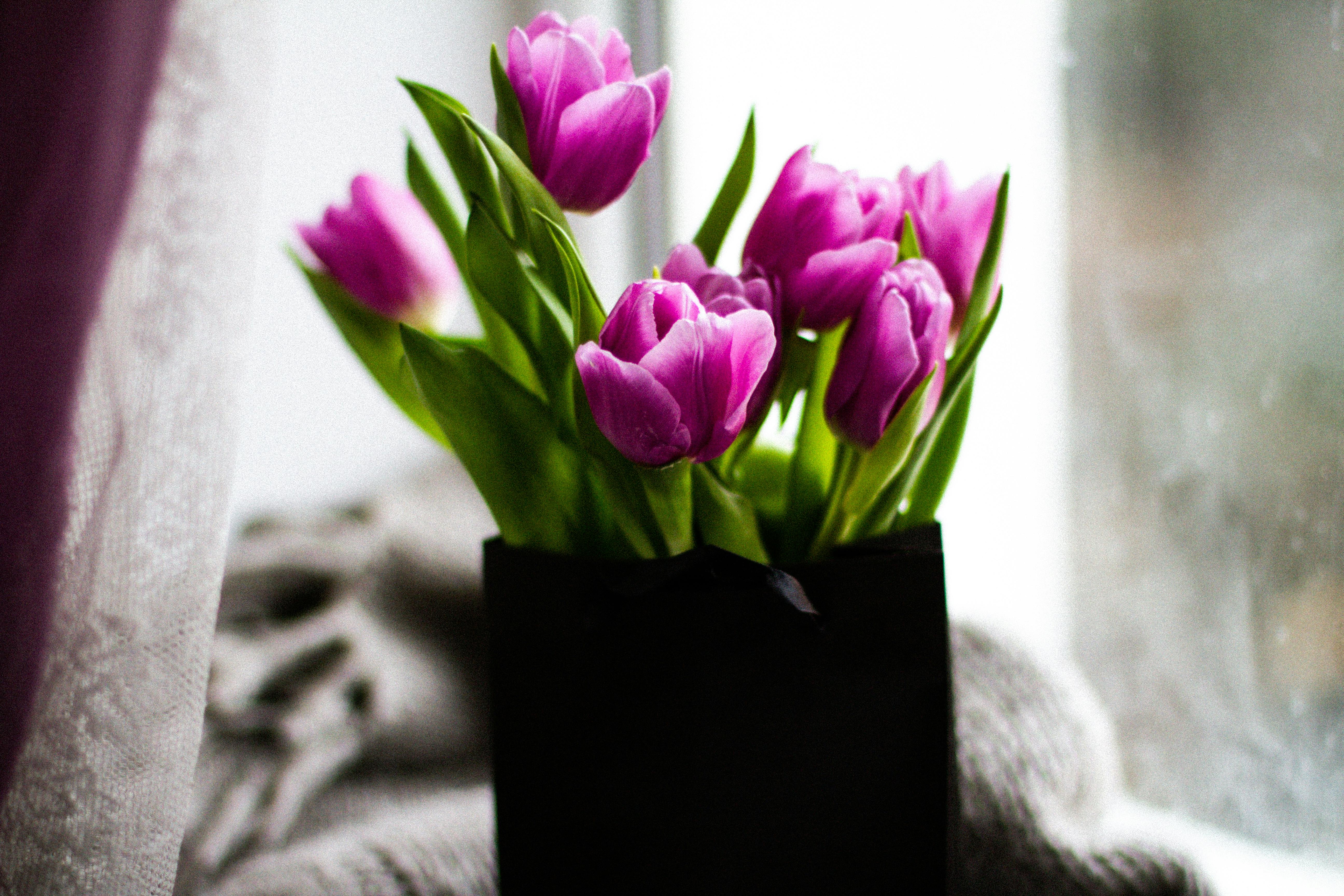 a bouquet of purple tulip flowers