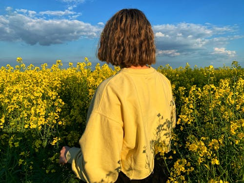 Imagine de stoc gratuită din câmp de flori, femeie, flori galbene