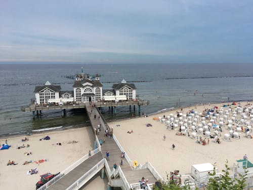 Aerial Photography of People on the Beach