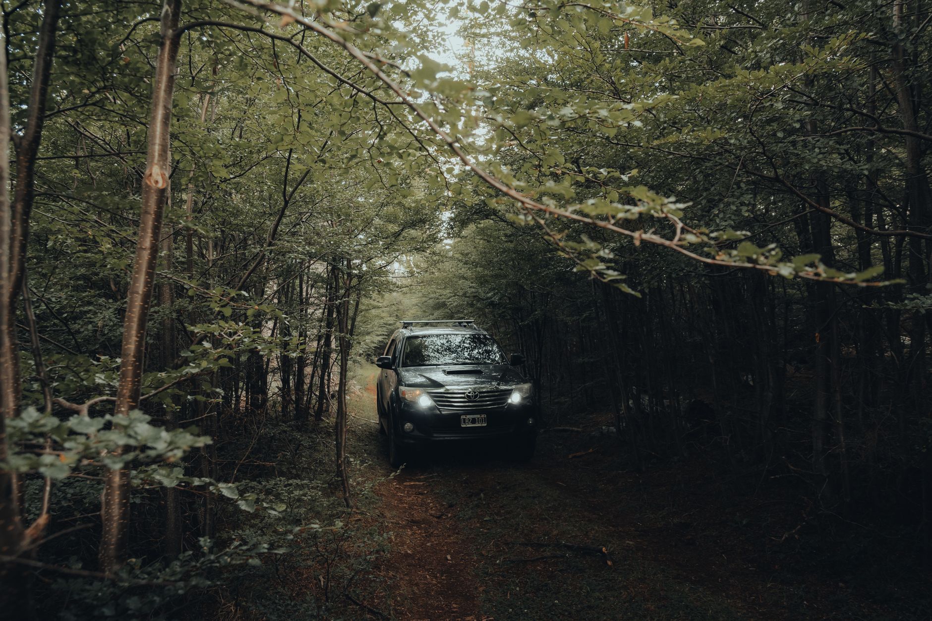 Toyota Fortuner SUV driving through a lush forest trail, showcasing off-road adventure.