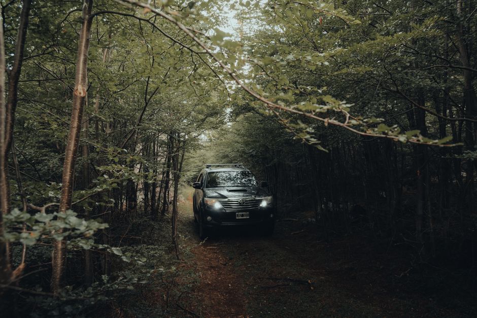 Toyota Fortuner SUV driving through a lush forest trail, showcasing off-road adventure.