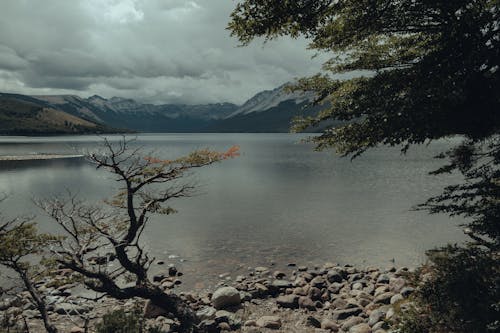 Gratuit Imagine de stoc gratuită din arbore, fotografie cu natură, lac Fotografie de stoc