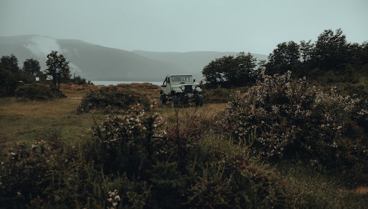 Gray Jeep Car On Green Grass With Trees
