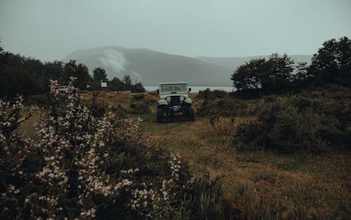 A Parked SUV on the Grassy Field