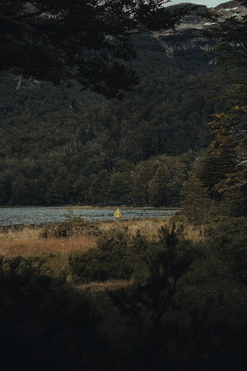 Kostnadsfri bild av berg, flod, gräs