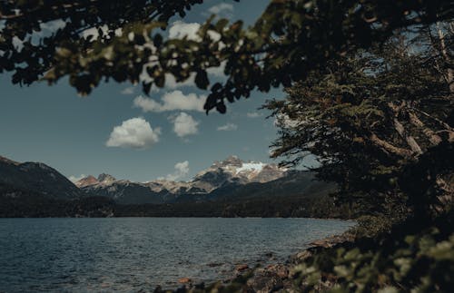 山岳, 木, 水域の無料の写真素材