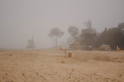 날씨, 모래, 박무의 무료 스톡 사진