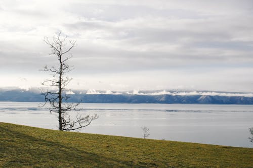 Бесплатное стоковое фото с вода, горы, дерево