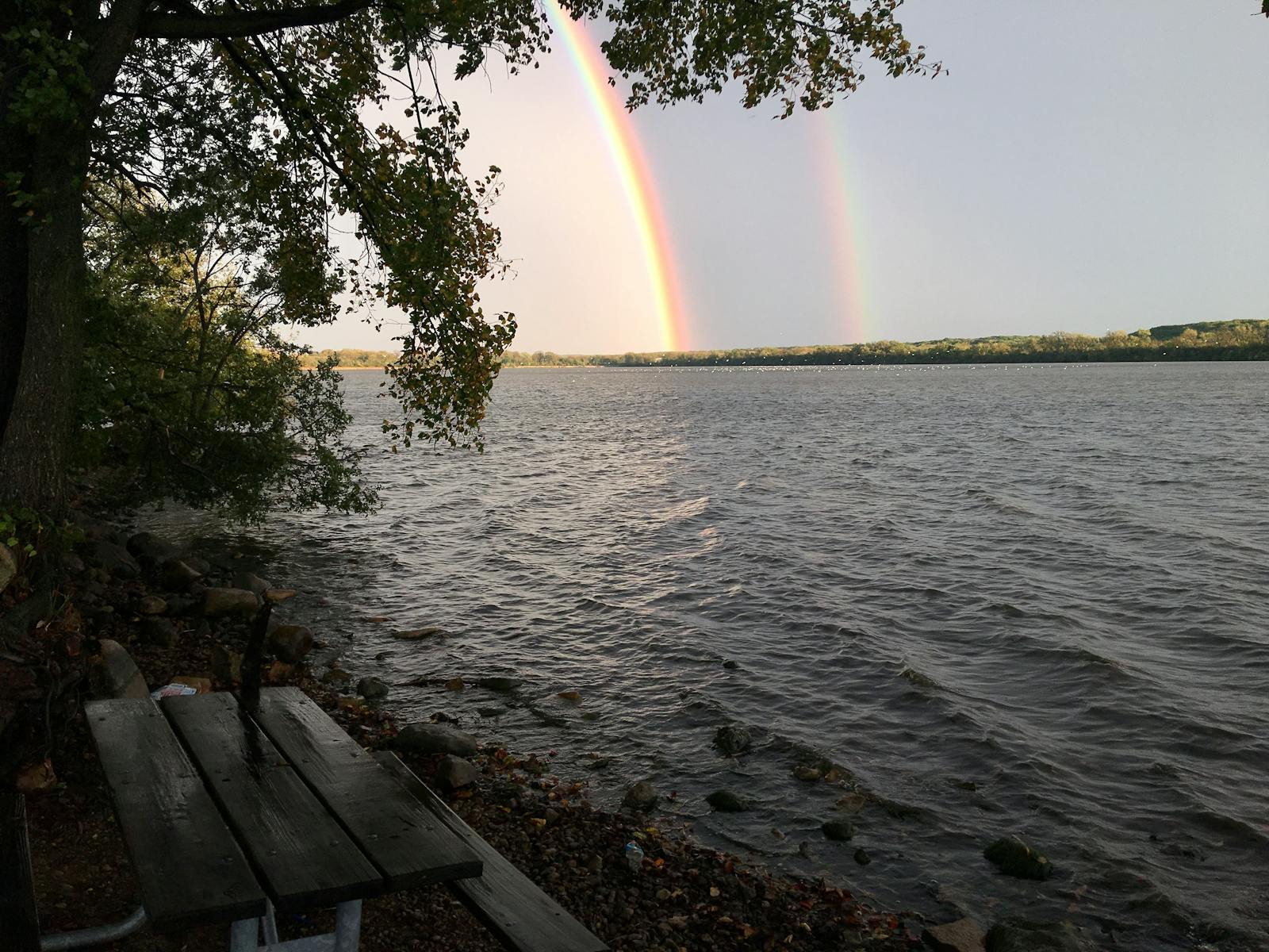 Two EV owners chatting at a charging station