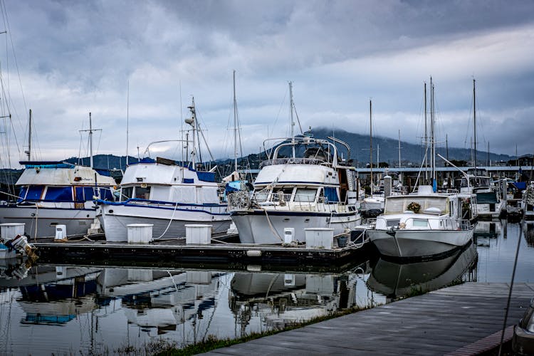 Yachts In Marina