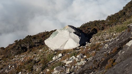 Foto profissional grátis de pedregulho