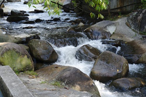 Foto profissional grátis de pedras, rio