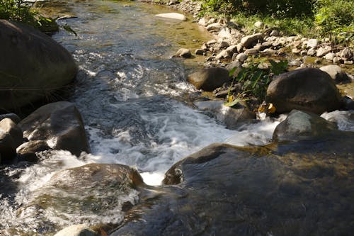 Foto profissional grátis de pedras, rio