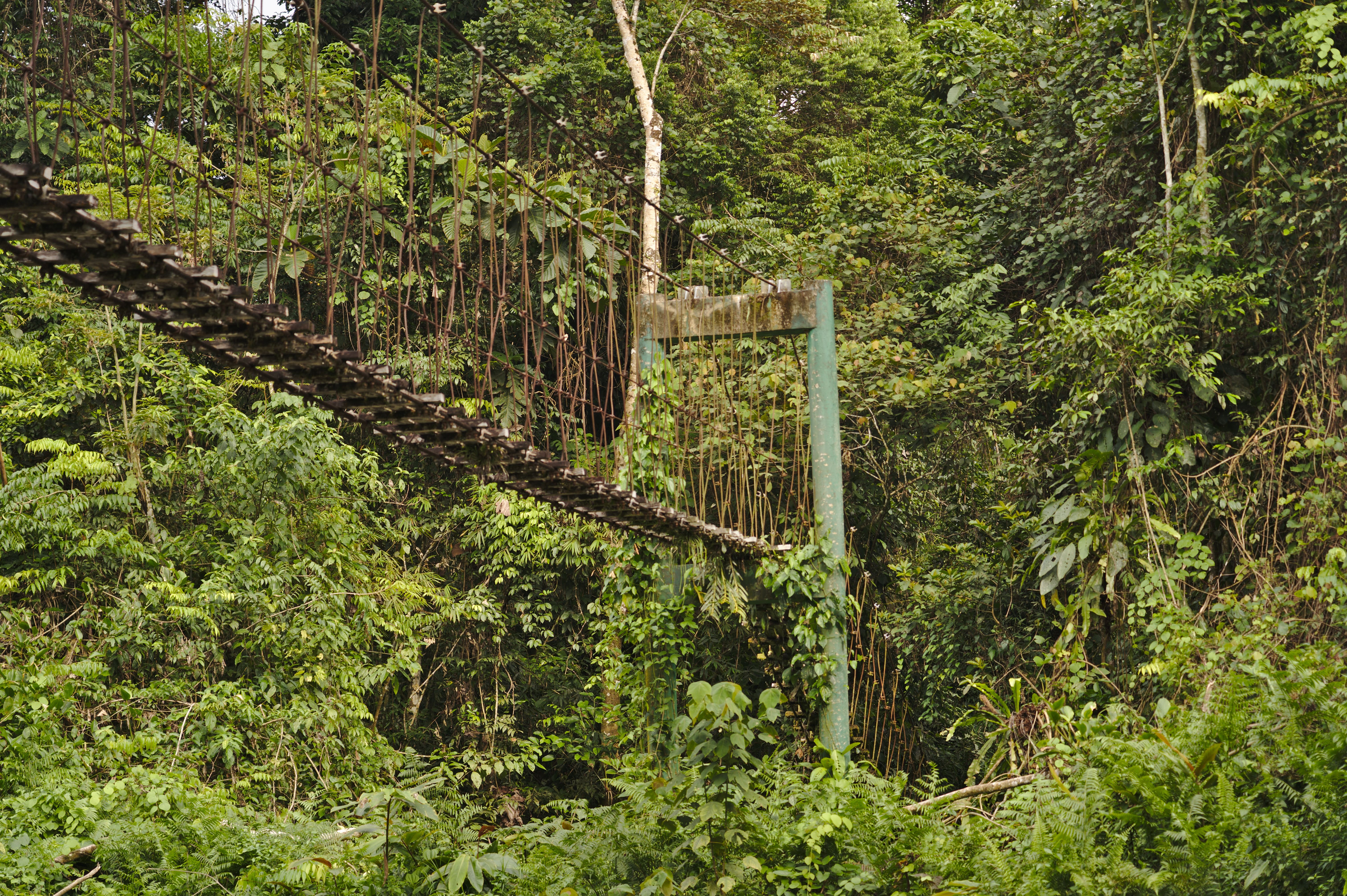 Hotels Nearest the Lekki Conservation Centre, Ranked