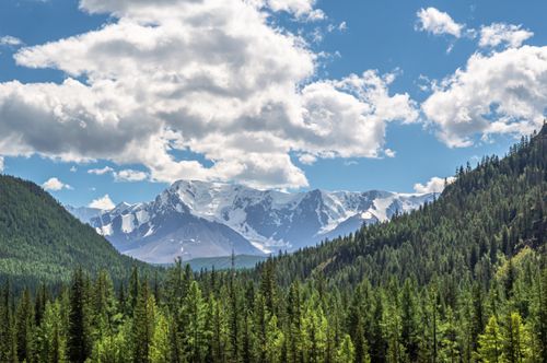 Free Beautiful view of snow-capped mountains and lush forest in Altai, Russia. Stock Photo