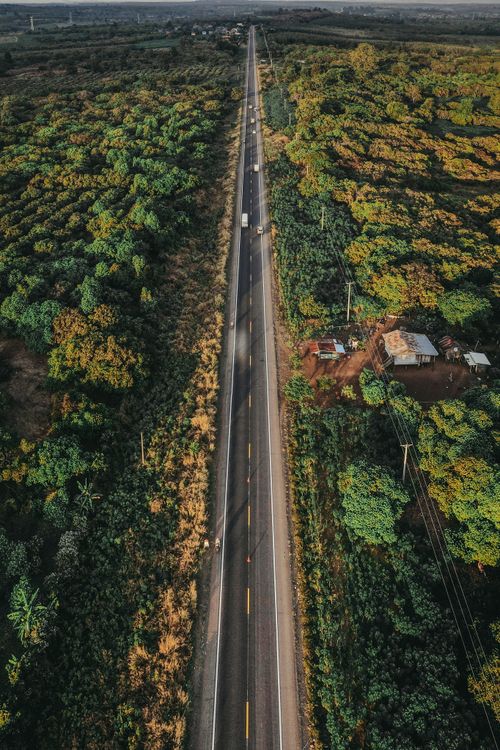 Free Aerial shot of a straight road cutting through verdant foliage, perfect for travel imagery. Stock Photo