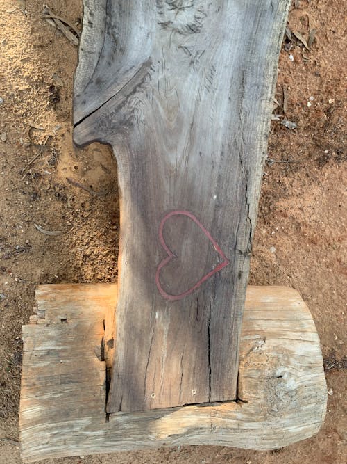 Fotos de stock gratuitas de amor, Banco de madera, cementerio