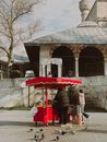 People Standing Near Red and White Canopy Tent