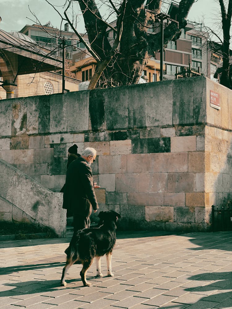 Man Walking Dog In Town