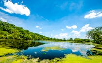 宁静的湖景、清澈的蓝天和郁郁葱葱的绿树倒映在平静的水面上，非常适合自然爱好者
