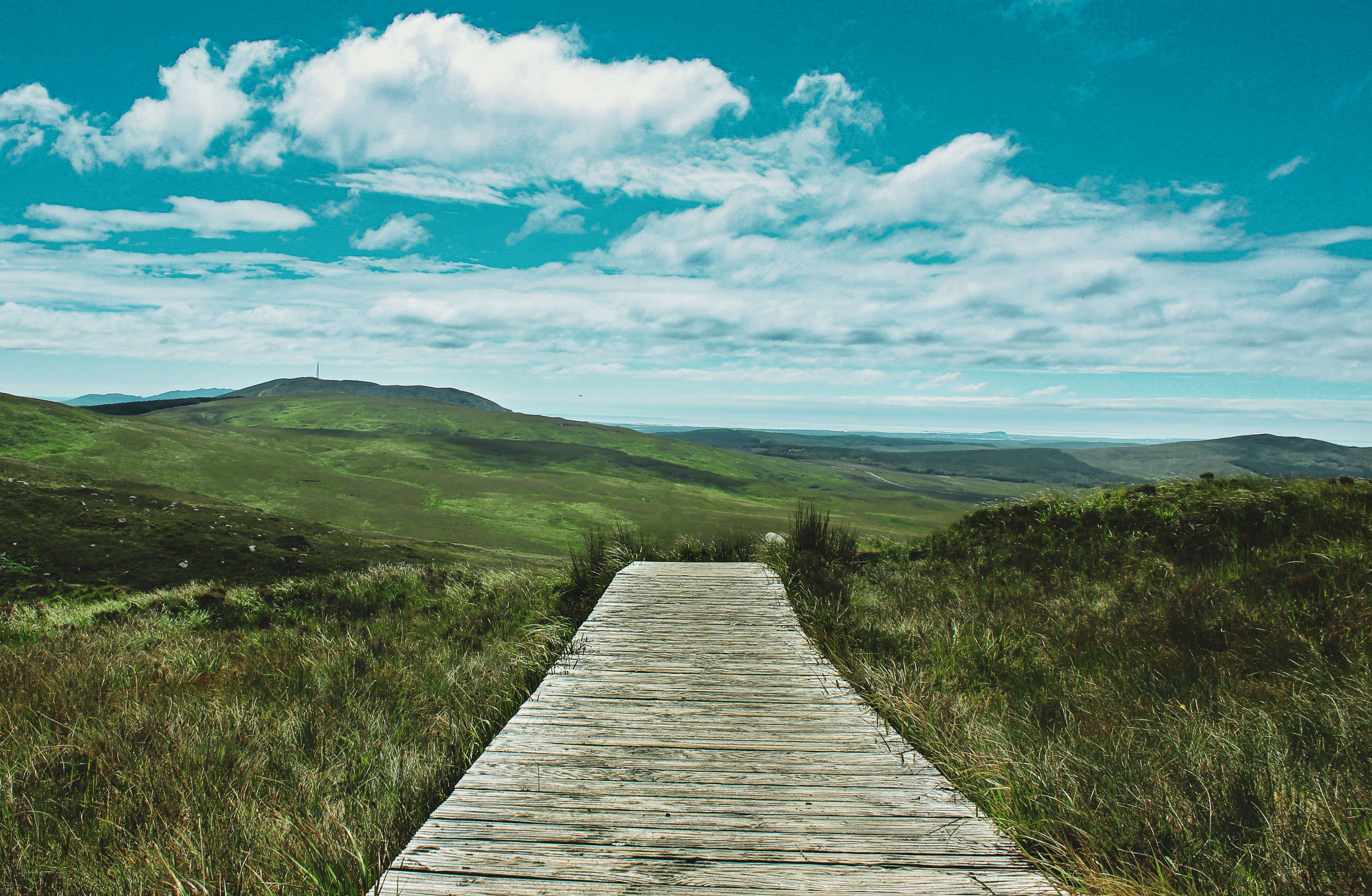 Top tips to visit Ireland on a budget — Photo by Marvin Machler on Pexels