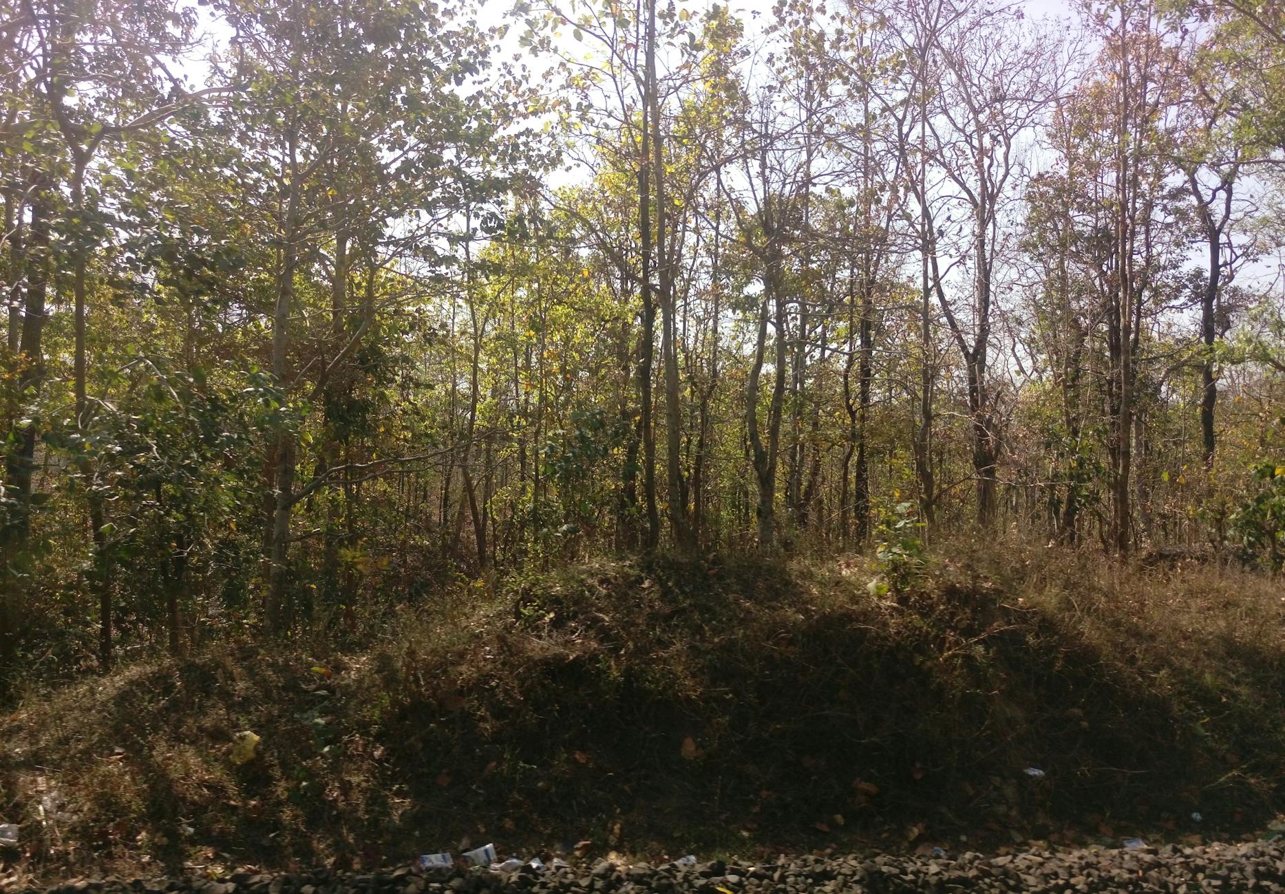 幾米公園的繽紛戶外場景,適合與孩子共同探索