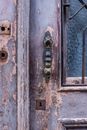 Brown Wooden Door With Brass Door Lever