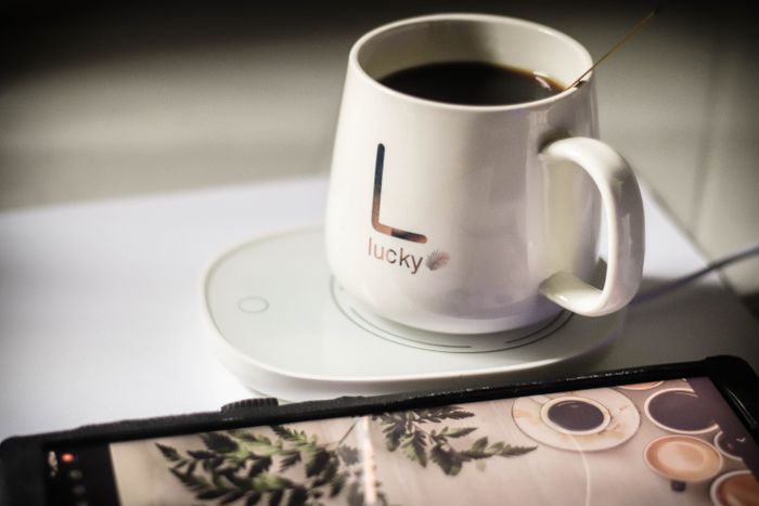 Ember Mug 2 Temperature Control Mug