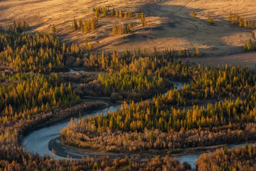 Free Aerial view of the Chuya River winding through the autumn-colored forests in Altai, Russia. Stock Photo