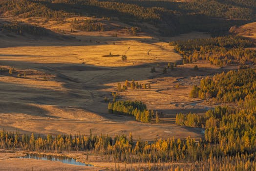 Majestic autumn views of Altai Mountains with golden forests and scenic rivers.