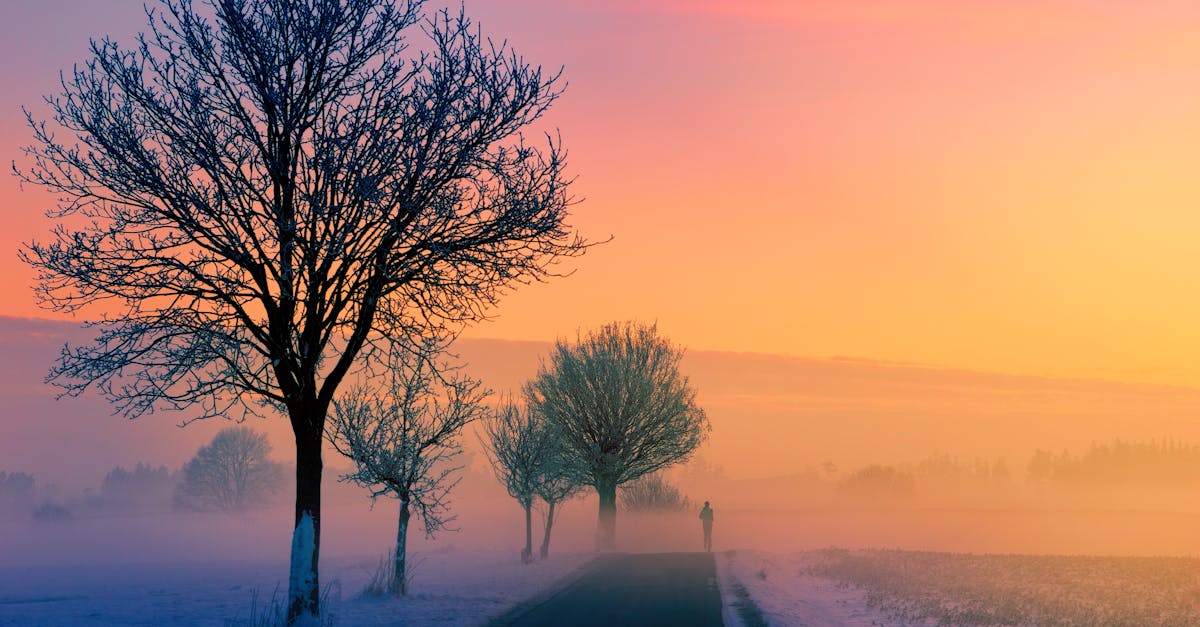 Explorer les Routes Gastronomiques Françaises en Roadtrip