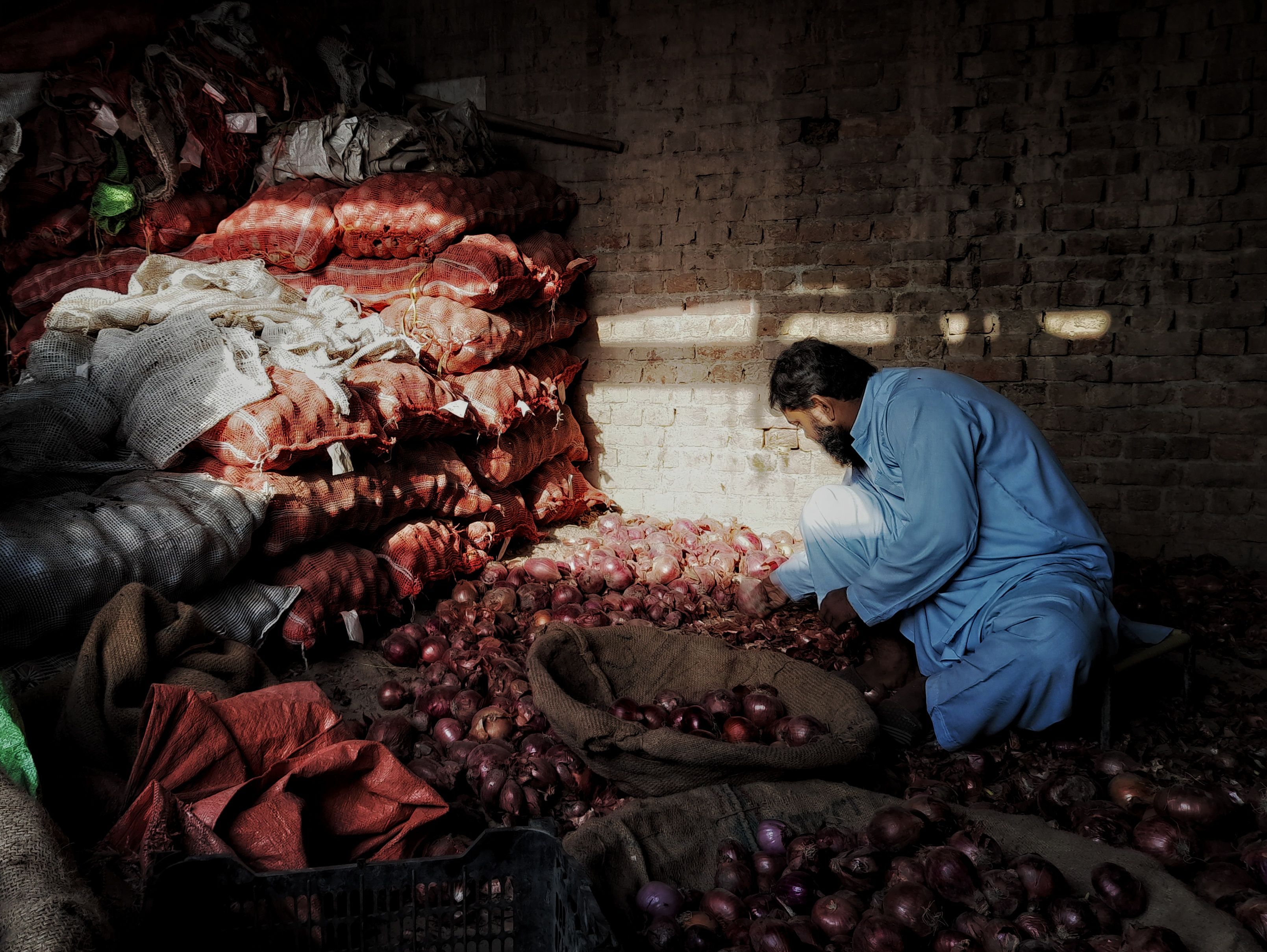 Afghan rooster handlers preparing fighting birds behind a Kabul courtyard wall, muted colors and guarded expressions