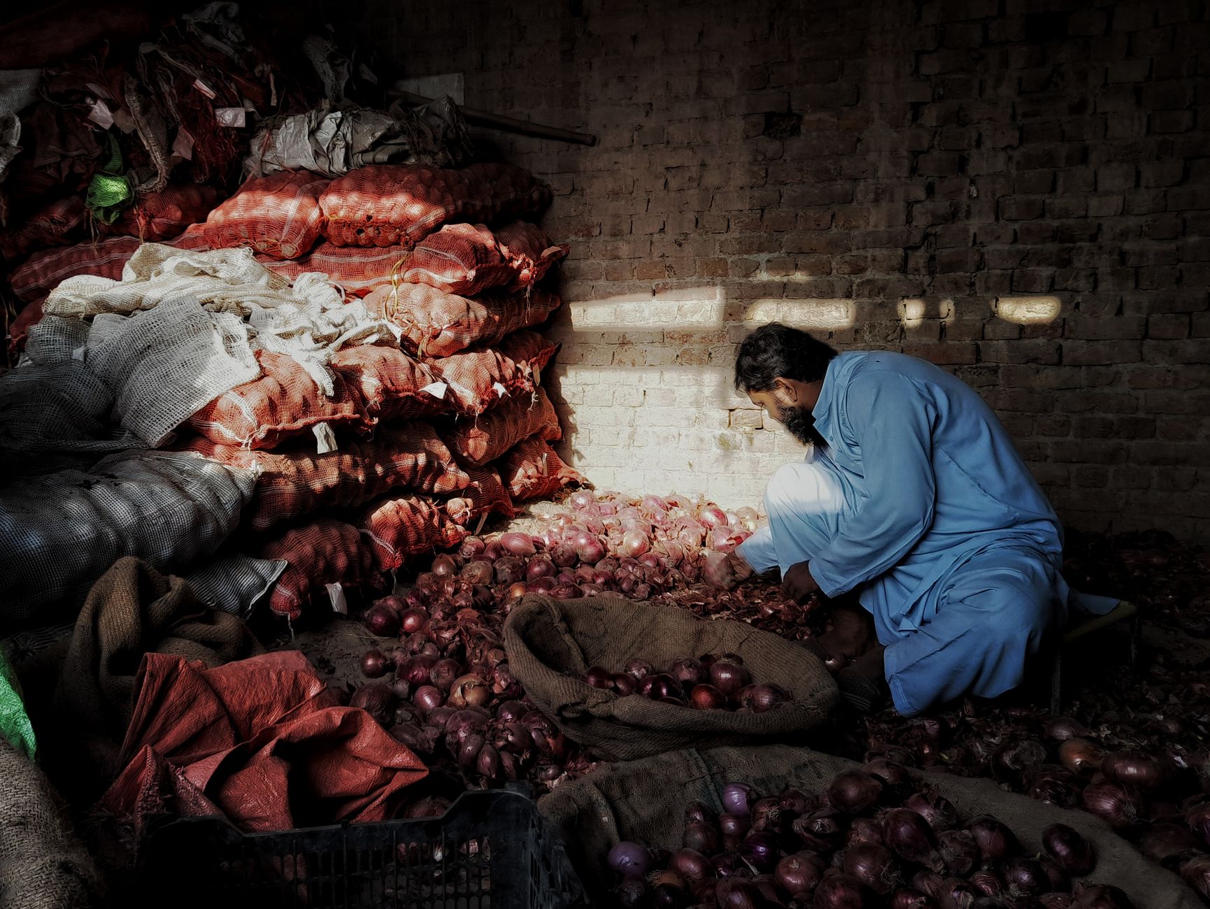 Afghan rooster handlers preparing fighting birds behind a Kabul courtyard wall, muted colors and guarded expressions