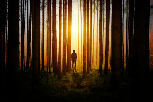Free Silhouette of a Man during Sunset Stock Photo