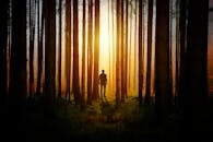 Silhouette of a Man during Sunset
