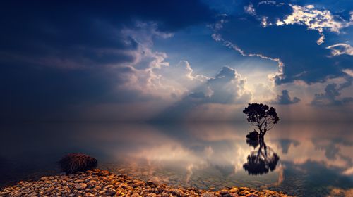 Free A solitary tree reflected in a calm lake under dramatic sunset clouds. Stock Photo