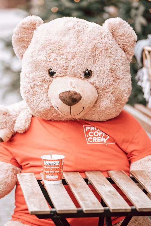Free A Brown Teddy Bear in a Red Shirt Stock Photo