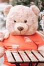 Brown Bear Plush Toy on Brown Wooden Bench
