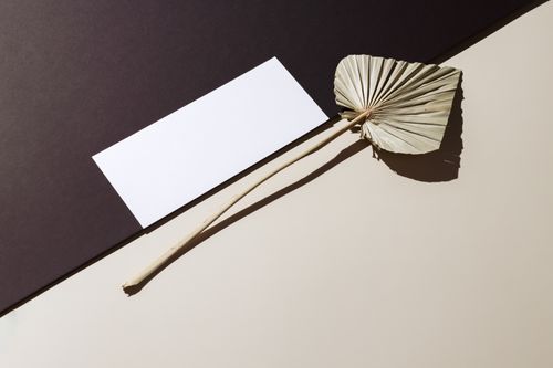 Free Abstract composition with dried palm leaf against black and beige background. Perfect for modern design. Stock Photo