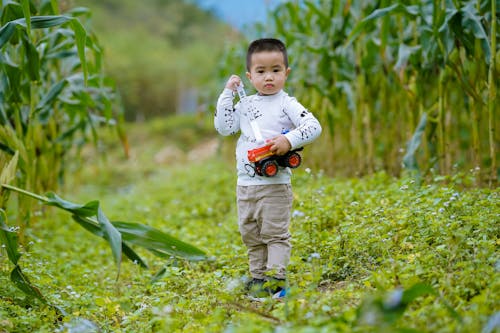 Photo of a Child Holding His Toy Car Near Plants