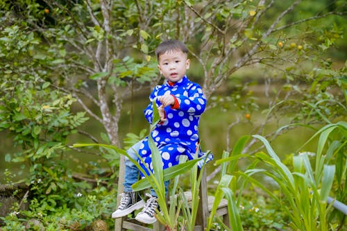 Ilmainen kuvapankkikuva tunnisteilla aasialainen lapsi, istuminen, kasvit Kuvapankkikuva