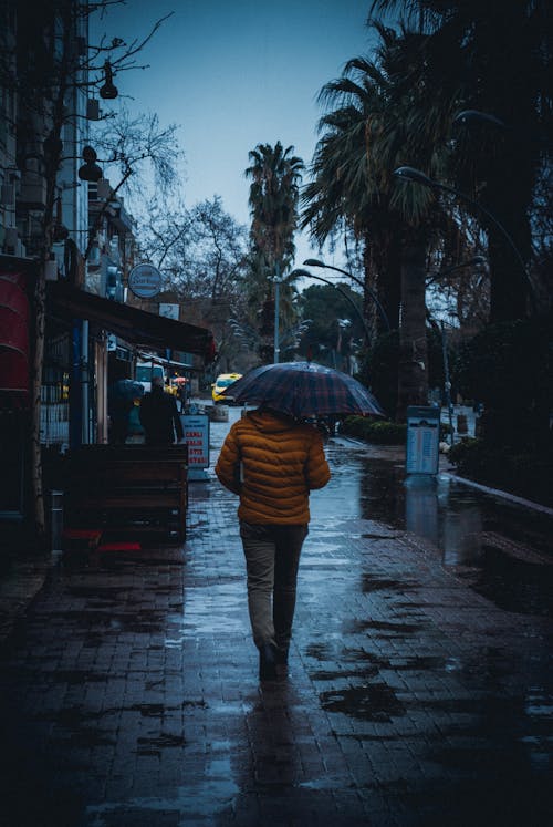 Back View of a Person Walking on a Street with an Umbrella