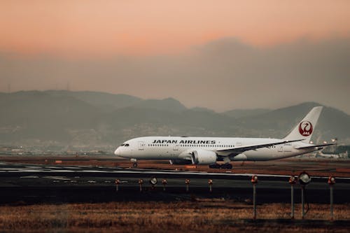 Free Photograph of a Japan Airlines Airplane  Stock Photo