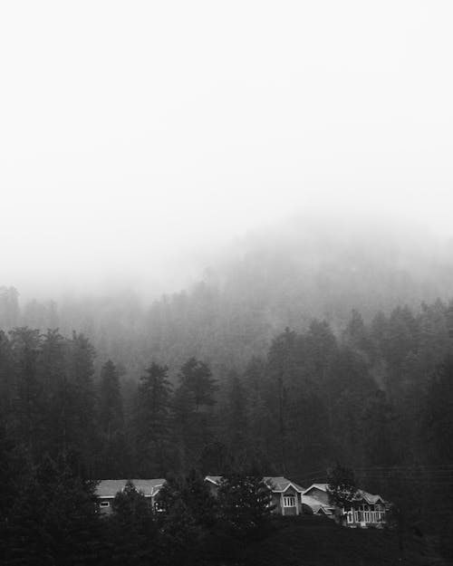 Grayscale Photo of Houses Near Trees 