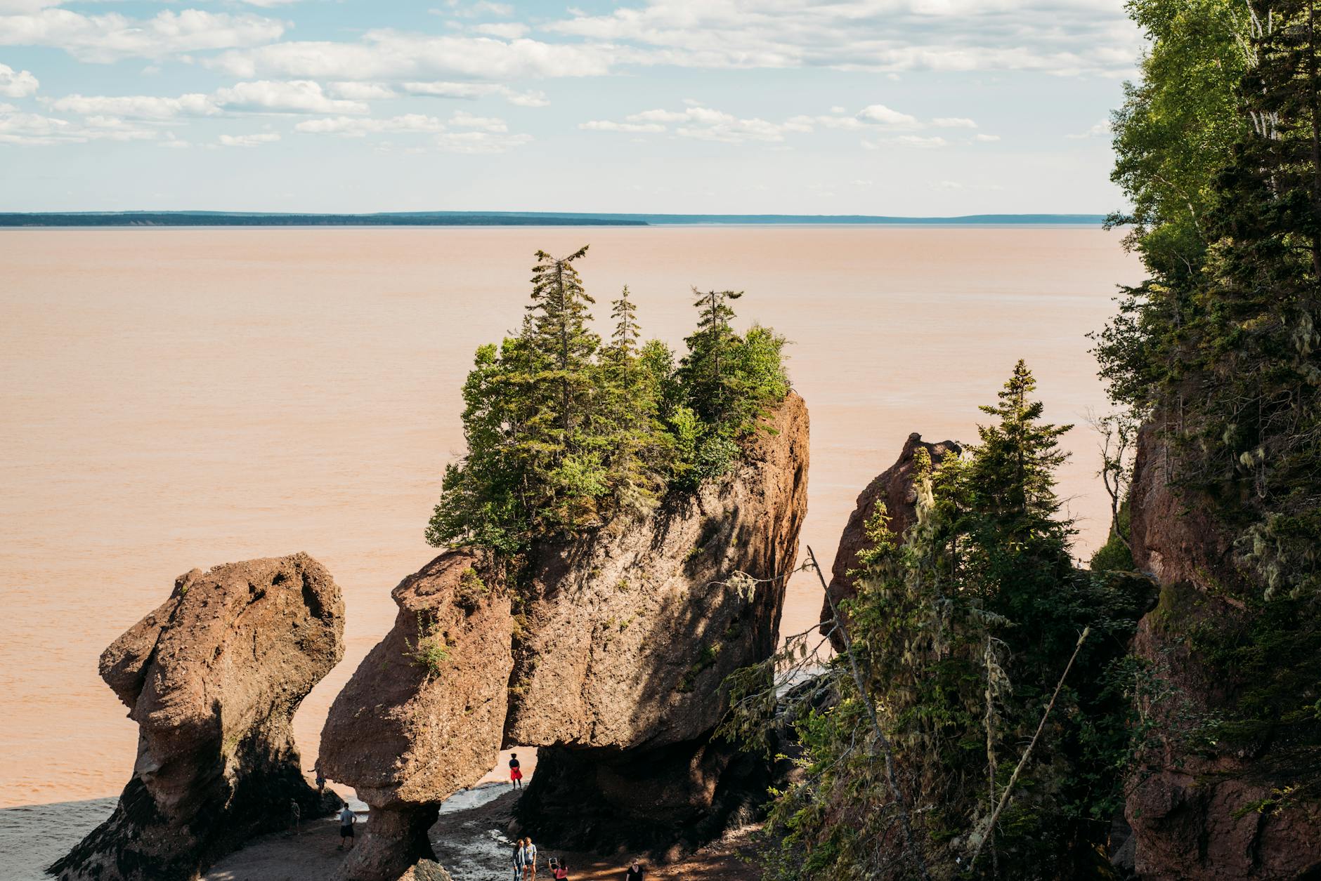 https://www.pexels.com/photo/green-trees-on-top-of-brown-rock-formations-11150624/