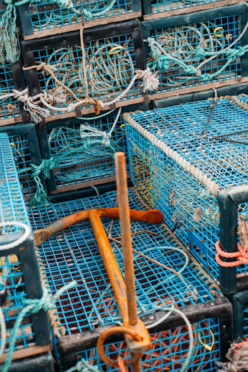 Δωρεάν στοκ φωτογραφιών με εξοπλισμό αλιείας, κατακόρυφη λήψη, κλουβιά Φωτογραφία από στοκ φωτογραφιών