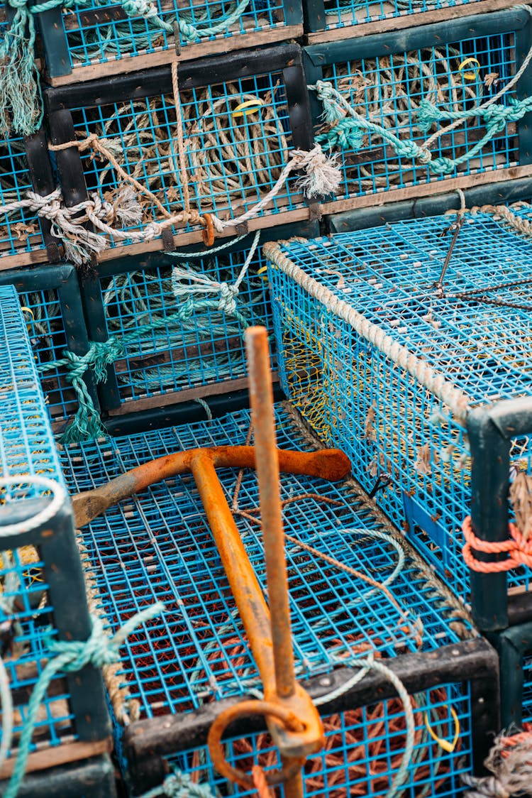 Photograph Of Fishing Traps