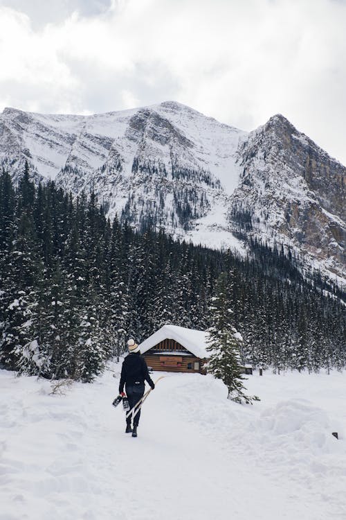 垂直拍攝, 大雪覆蓋, 景觀 的 免費圖庫相片